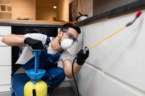 Best Exterminator Services  in Peach Springs, AZ