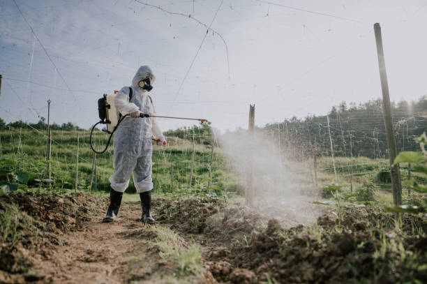 Best Pest Removal Services  in Peach Springs, AZ
