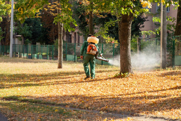 Best Local Pest Control Services  in Peach Springs, AZ